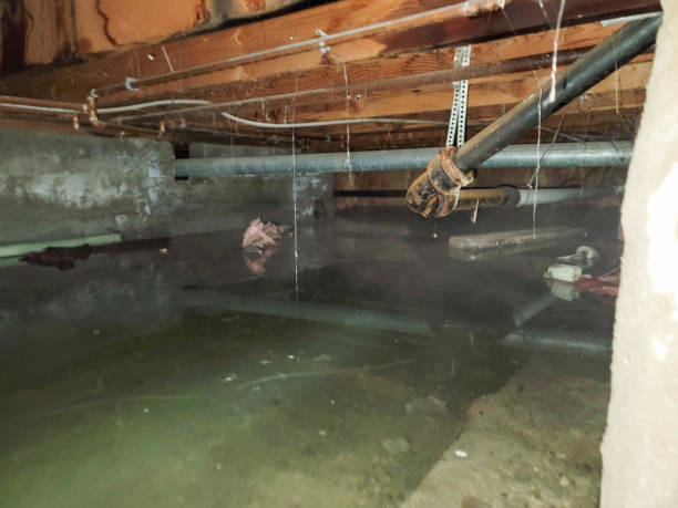 Best Commercial water damage restoration  in Covington, KY