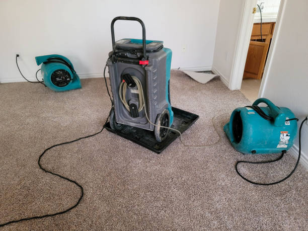 Best 24-hour water damage restoration  in Covington, KY