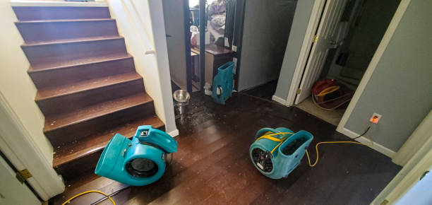 Best Local water damage restoration  in Covington, KY