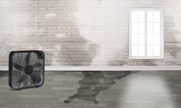 Best Ceiling water damage repair  in Covington, KY