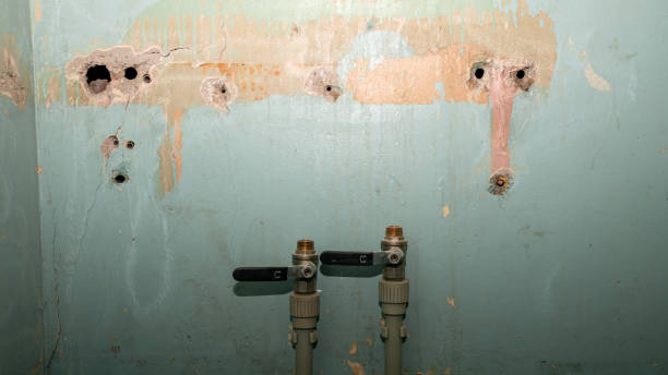 Professional Water damage restoration in Covington, KY