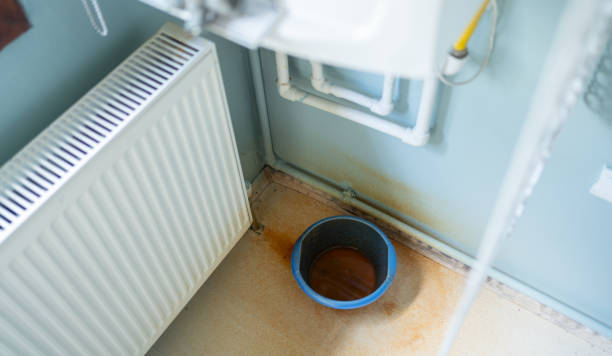 Best 24/7 water damage repair  in Covington, KY