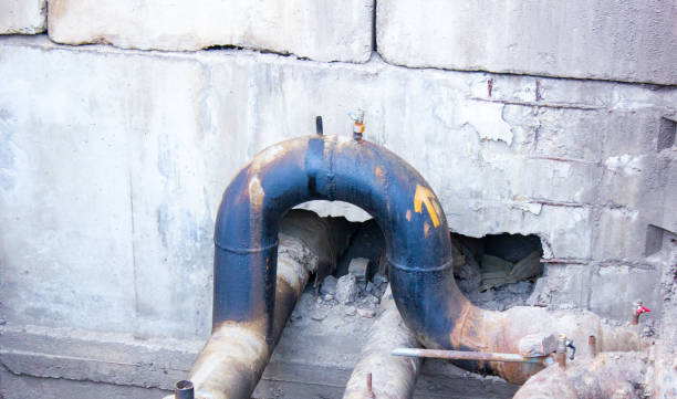 Best Flood restoration services  in Covington, KY